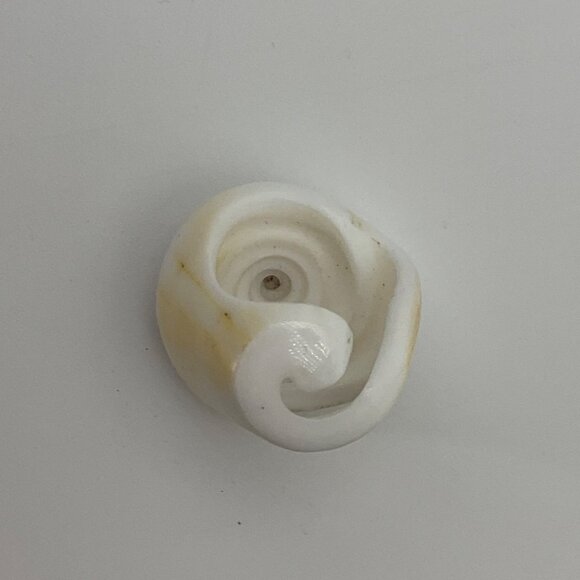 VTG New No Tags Sz 7.5 Natural Spiral Shell Statement Ring Artisan Hand Carved - Picture 7 of 8